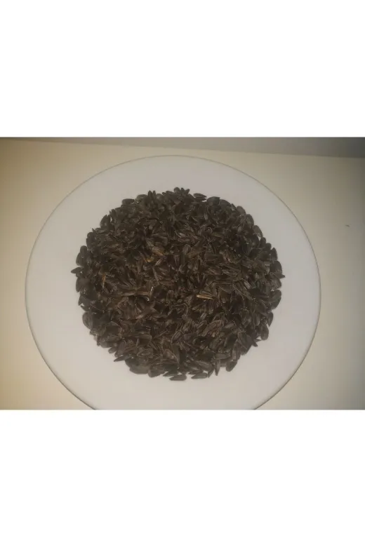 GoldMindMix kusayçek1 Kuş Yemi 1Kg Ayçekirdeği