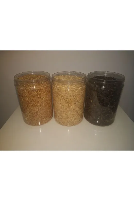 GoldMindMix kusayçek1 Kuş Yemi 1Kg Ayçekirdeği