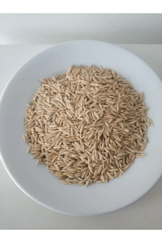 GoldMindMix kuşyemi-3 3Kg Kuş Yemi ( Kabuklu Yulaf ) 3Kg. Papağan Kanarya, Muhabbet Kuşu, Güvercin Için.
