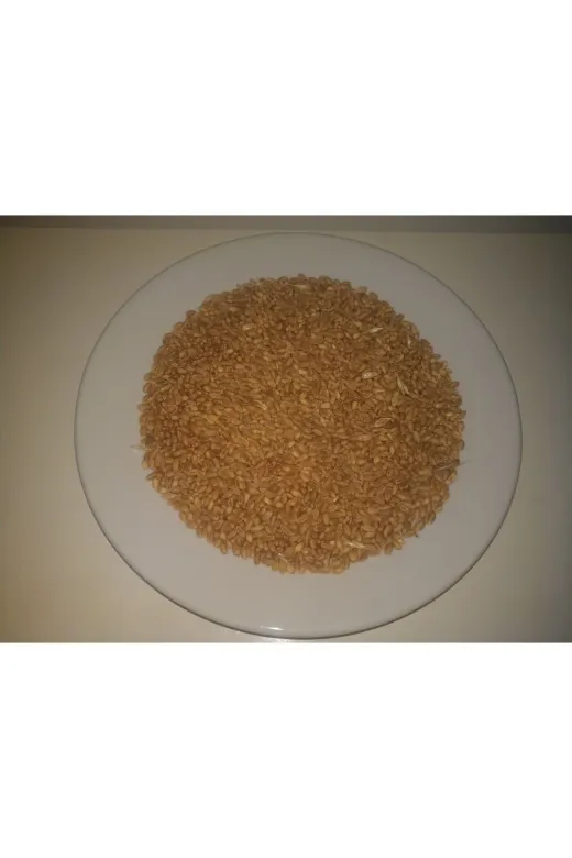 GoldMindMix TYC03480db3ddb5716324dce Kuş Yemi  2Kg Buğday