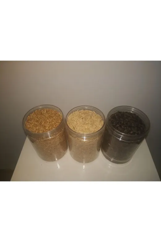GoldMindMix TYC03480db3ddb5716324dce Kuş Yemi  2Kg Buğday