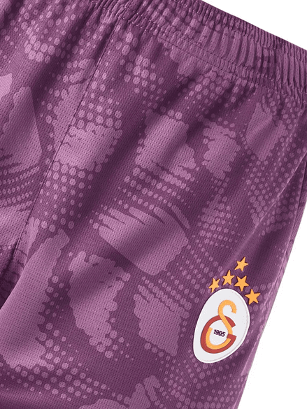 Gs Store 77967508 Galatasaray Puma 2024/2025 Kaleci Mor Şort