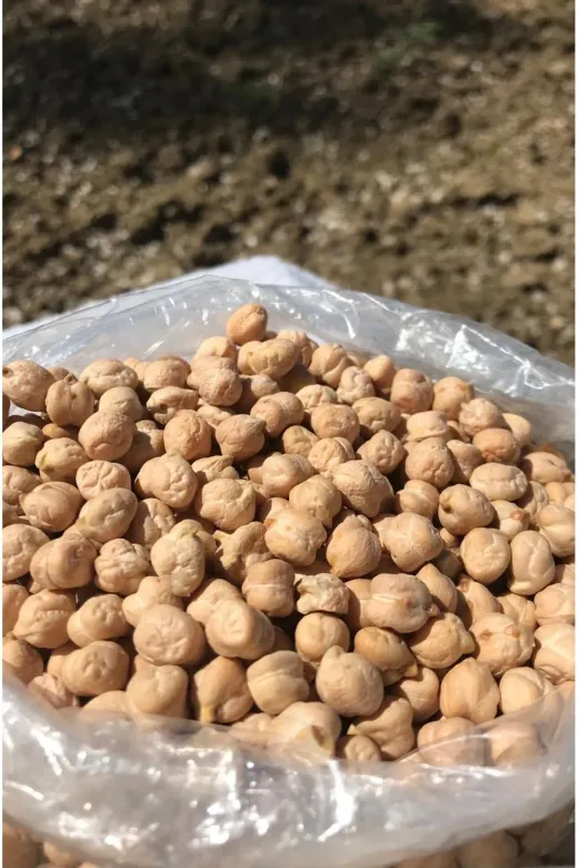 GÜLTEKİN BAL A Nohut Köy 1 Kg