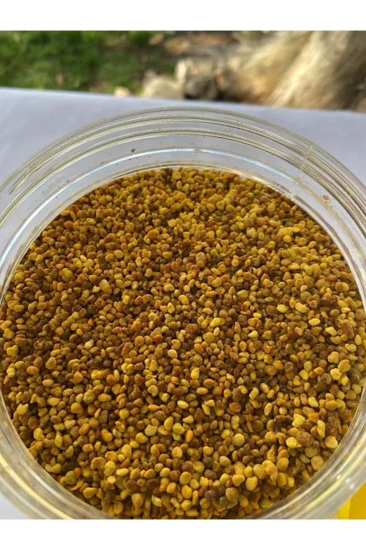 GÜLTEKİN BAL TYCM3J9MGN170325384715545 Arı Poleni 1 Kg