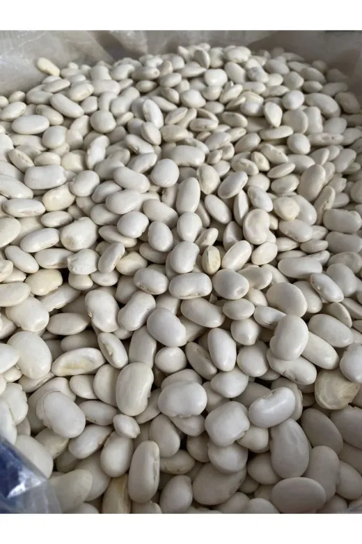 GÜLTEKİN BAL TYCTTC6CDN170262875035646 Kuru Fasülye 5 Kg