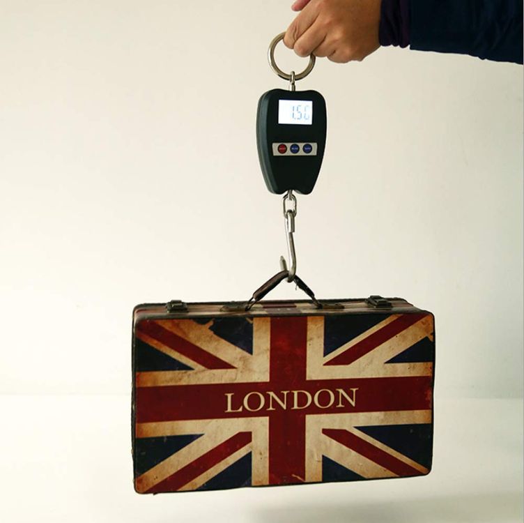 Gunkes Mini Crane Scale 8088 Askı Kantar Terazi 200 Kg Vinç Kantar