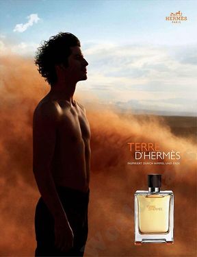 hermesterre2 Hermes Terre D Edt 100 Ml Erkek Parfüm