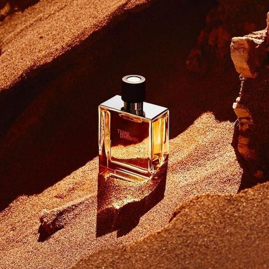 hermesterre2 Hermes Terre D Edt 100 Ml Erkek Parfüm
