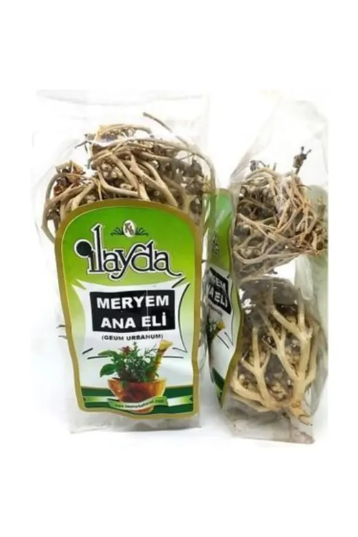 İlayda ily66988 Meryem Ana Eli Otu
