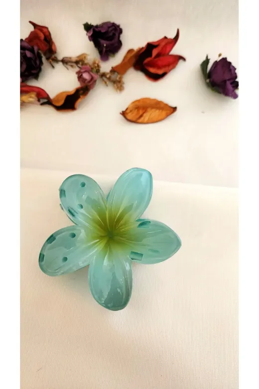 jazel TYCL6KMQVN169453902355993 Lotus Toka