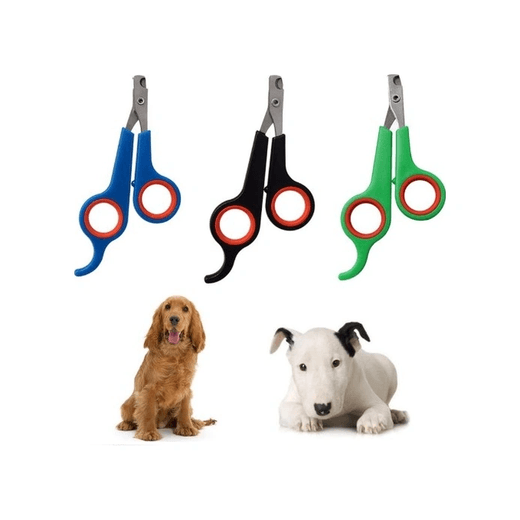 just cheap store 109353996 Kedi Köpek Tırnak Makası Renkli Poşetli 4741