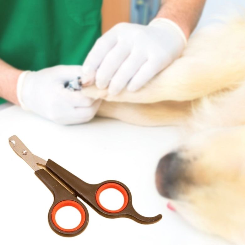 just cheap store 115158298 Küçük Çelik Uçlu Kedi Köpek Evcil Hayvan Tırnak Makası Pati Bakım Aleti Ergonomik Kaymaz Sap 4741