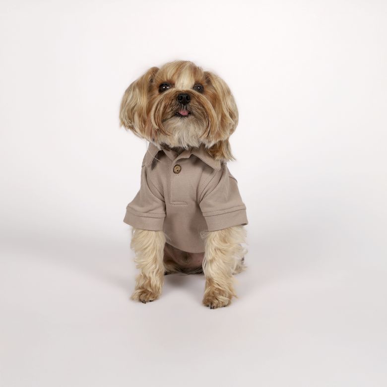 Karaca RUTTYTYET X Pati I Woof You T-Shirt Xl Beden Vizon