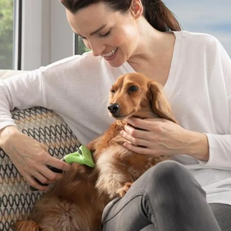 Kedi ve Köpekler İçin Uzun Tüylü Köpek Tarağı Tüy Toplayıcı tarak Small (4745)