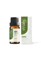 Kekik Yağı (10 ml)