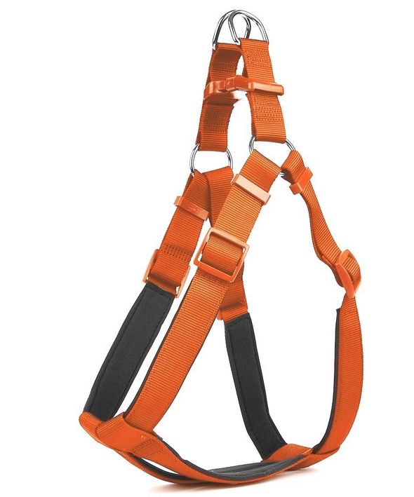 Köpek Bel Tasması 70cm Large Tcu