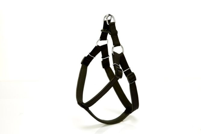 Köpek Bel Tasması 95cm XX-Large Siyah