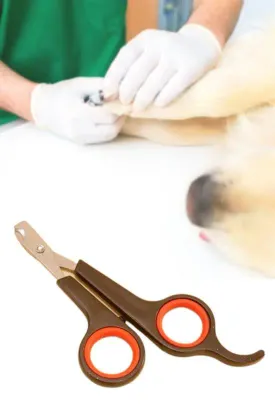 Küçük Çelik Uçlu Kedi Köpek Evcil Hayvan Tırnak Makası Pati Bakım Aleti Ergonomik Kaymaz Sap (4745)