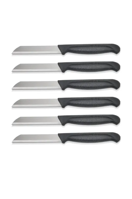 Lazoğlu CR-1826 11 Parça Profesyonel Chef Bıçak Seti + Bıçak Bileme Aparatı | Paslanmaz Çelik, Ergonomik Sap