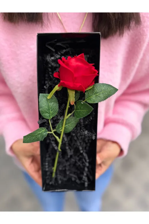lenostra Set-Hediyelik5 Romantik Hediye Siyah Kutuda Kırmızı Kadife Gül Sevgiliye Cicek Sevgiliye Ozel Hediye Öğretmene
