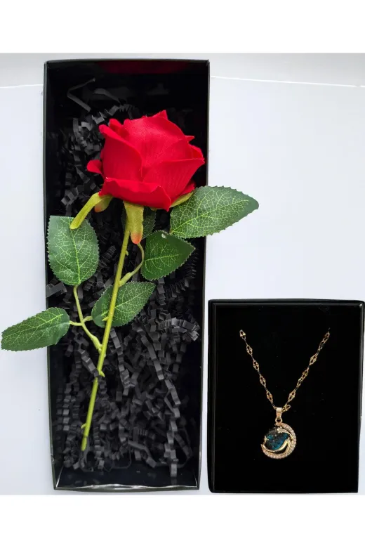 lenostra Set-Hediyelik8 Sevgiliye Hediye Romantik Kırmızı Gül Ve Gezegen Temalı Çelik Kolye Sevgili Ozel Kiz Arkadasa