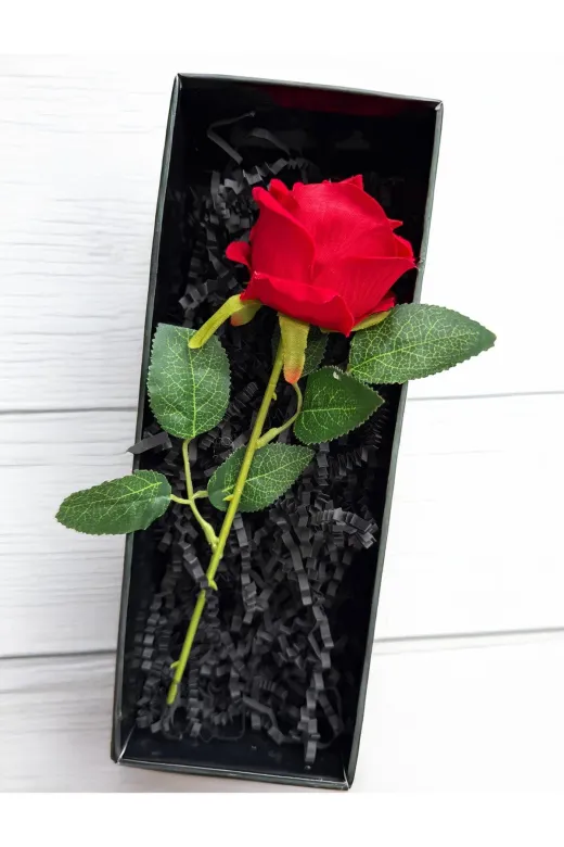lenostra Set-Hediyelik8 Sevgiliye Hediye Romantik Kırmızı Gül Ve Gezegen Temalı Çelik Kolye Sevgili Ozel Kiz Arkadasa