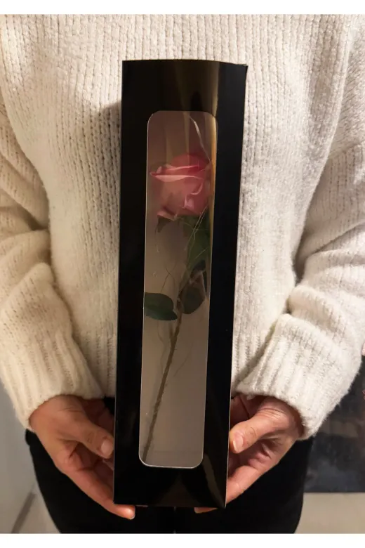 lenostra Sevgiliye-Cicek2 Ledli Kutu İçerisinde Pembe Gül Sevgiliye Hediye Kız Arkadaşa Sevgiliye Cicek Anneye Ablaya Arkadaşa