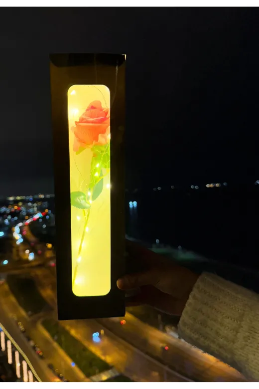 lenostra Sevgiliye-Cicek2 Ledli Kutu İçerisinde Pembe Gül Sevgiliye Hediye Kız Arkadaşa Sevgiliye Cicek Anneye Ablaya Arkadaşa