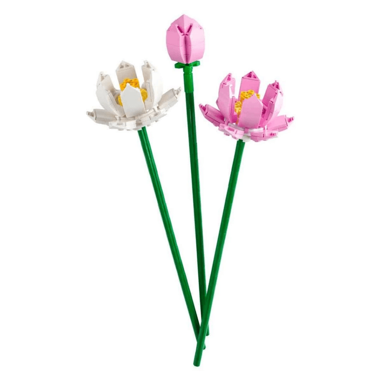 Lotus Çiçekleri 40647