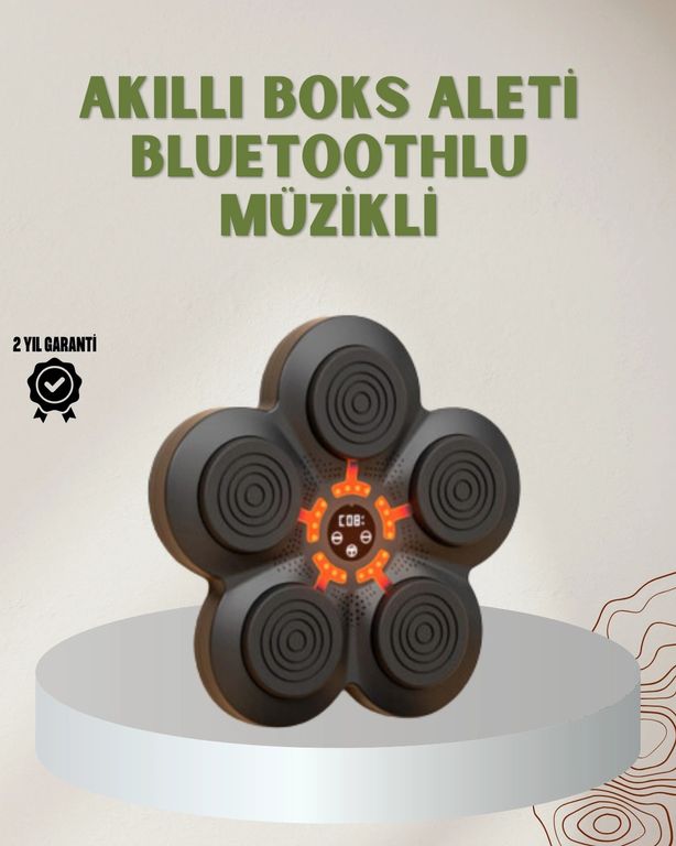 Luord Store TRİTHLTUCZZZMÜZİKBOXMAKİNESİ-2-BLNCCC Bluetoothlu Akıllı Boks Antrenman Cihazı Işıklı Hedefli Kardiyo Ve Fitness Aleti Çok Renkli