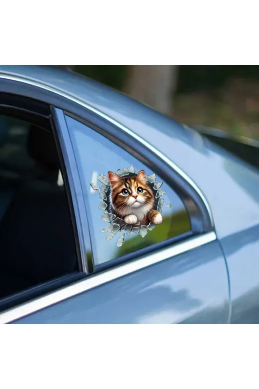 MEKs TTT-24242416936 Fulcar Stray Araç Stickerı