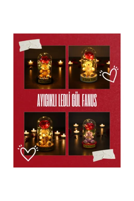 MEKs TTT-24242453513 Ayıcıklı Ledli Gül Fanus