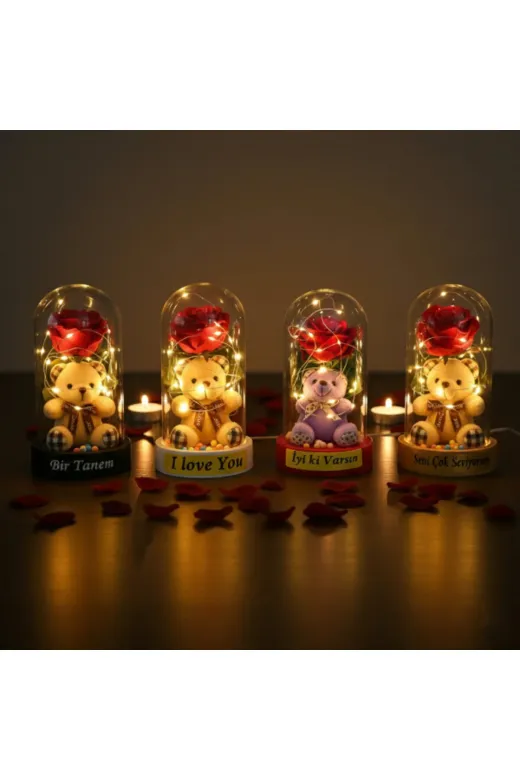 MEKs TTT-24242453513 Ayıcıklı Ledli Gül Fanus