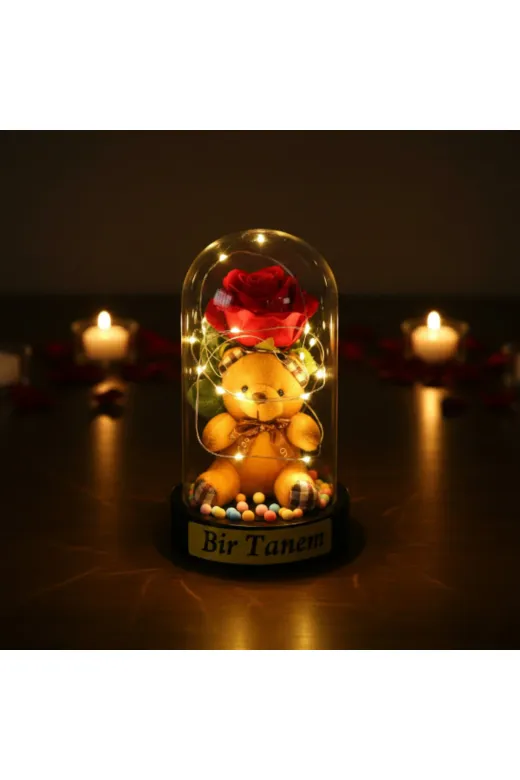 MEKs TTT-24242453513 Ayıcıklı Ledli Gül Fanus