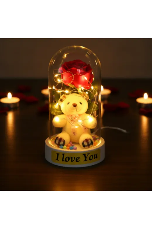 MEKs TTT-24242453513 Ayıcıklı Ledli Gül Fanus