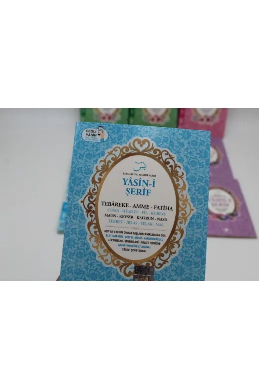 Merve Yayınları MERVE-YASIN-056-042-043-049 Hediyelik 10 Adet Ekonomik Sesli Yasin-I Şerif Arapça-Türkçe Okunuşu Ile Birlikte Çanta Boy(16X11Cm)