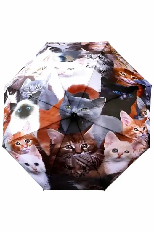 MRLX0018 Kedi Desenli Canlı Lüx Renkli Baskılı Rüzgara Dayanıklı 8 Telli Katlanabilir Manuel Şemsiye