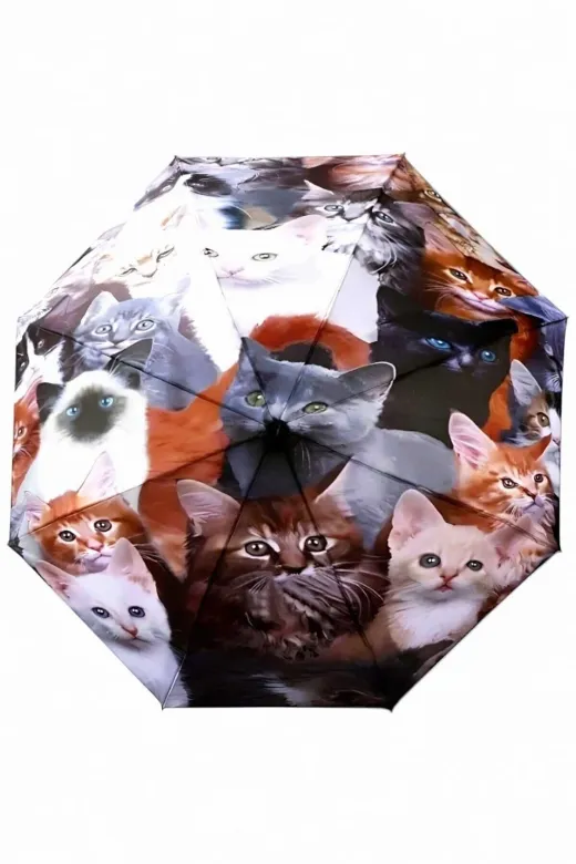 MRLX0018 Kedi Desenli Canlı Lüx Renkli Baskılı Rüzgara Dayanıklı 8 Telli Katlanabilir Manuel Şemsiye