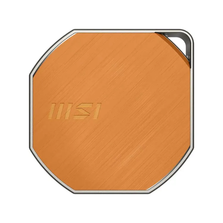 MSI Datamag Lite 1TB USB-C 40Gbps Taşınabilir SSD