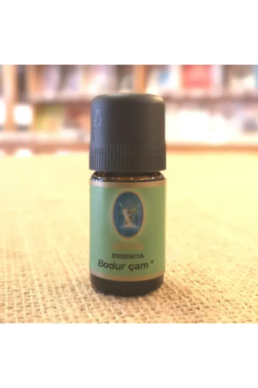 Nuka Defne Esencia 00121507 Bodur Çam Yağı 5 Ml