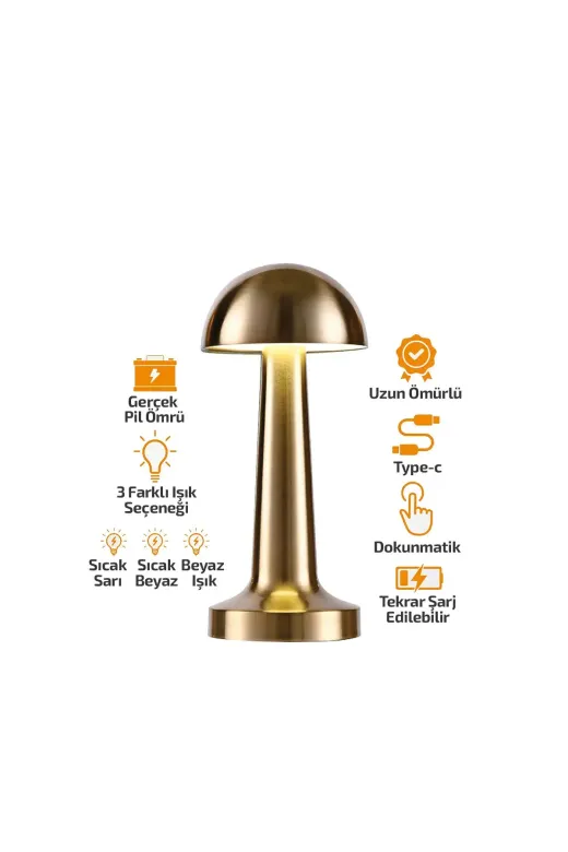 Oval - Metal Mantar Masa Lambası Dokunmatik - Renkli Type-c Şarjlı 3 Fonksiyonlu YL86-1231