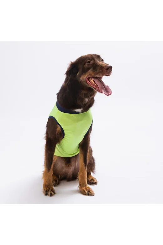 Pawstar S2385 Yeşil Shark Büyük Köpek Tişörtü - Köpek Kıyafeti (15 Kg-45 Kg)