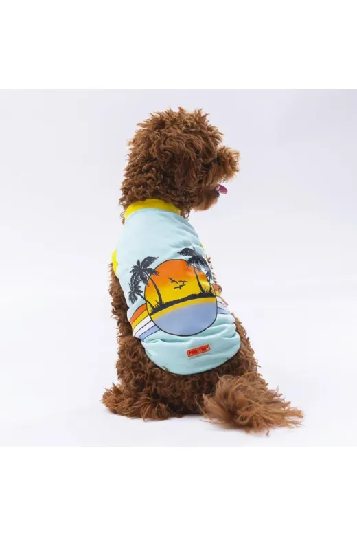 Pawstar S2480 Mint Sunrise Kedi Köpek Tişörtü - Kedi Köpek Kıyafeti