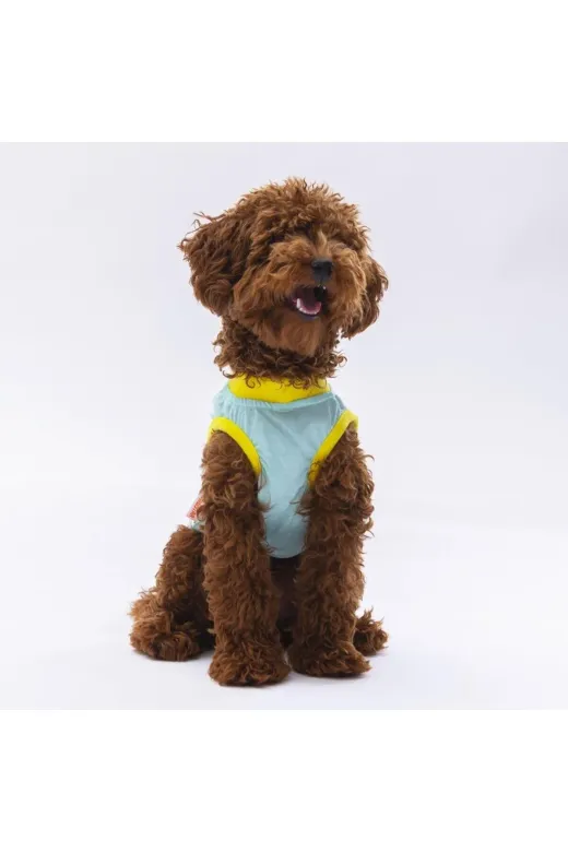 Pawstar S2480 Mint Sunrise Kedi Köpek Tişörtü - Kedi Köpek Kıyafeti