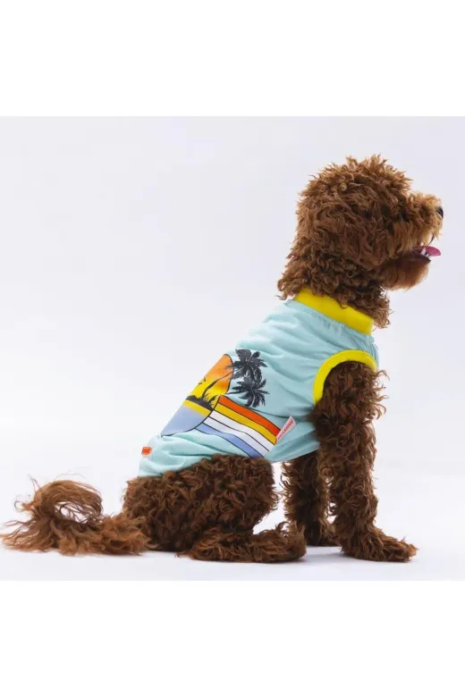 Pawstar S2480 Mint Sunrise Kedi Köpek Tişörtü - Kedi Köpek Kıyafeti