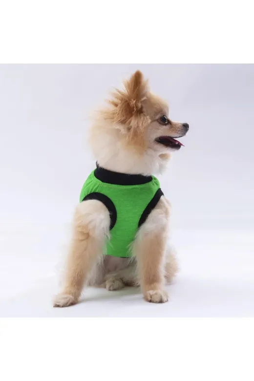 Pawstar T2480 Yeşil Travel Kedi Köpek Tişörtü - Kedi Köpek Kıyafeti