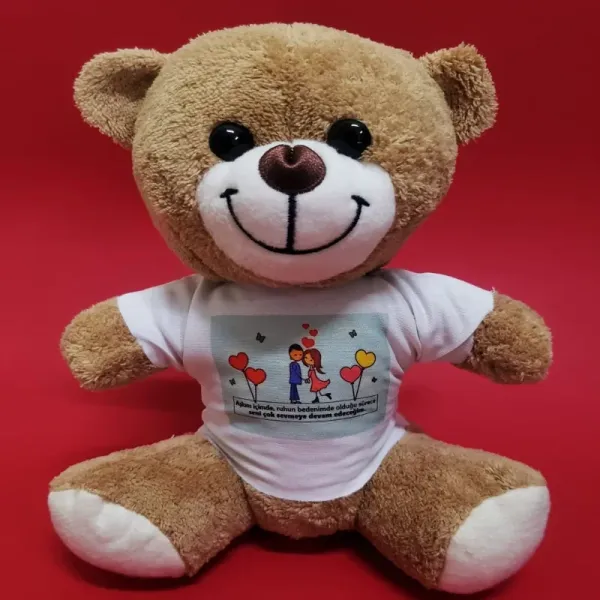 Peluş 25 Cm Özel Gün Hediyesi (tişörtlü Model)
