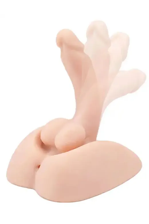 Penisli Erkek Kalça