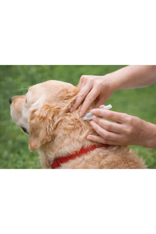 Petguard 30000 Köpek Tüy Ve Cilt Bakım Dış Anti- Przt Damlası 20-40 Kg