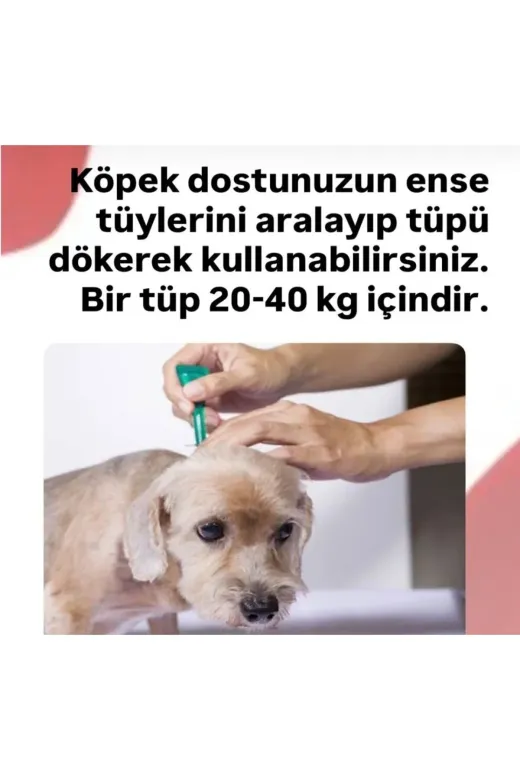 Petguard 30000 Köpek Tüy Ve Cilt Bakım Dış Anti- Przt Damlası 20-40 Kg